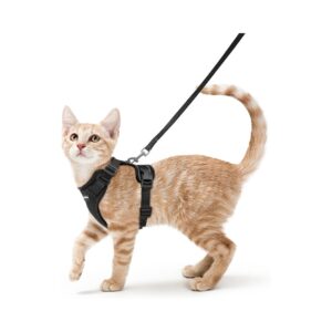 rabbitgoo Cat Harness and Leash for Walking, Escape Proof Soft Adjustable Vest Harnesses for Cats, Easy Control Breathable Reflective Strips Jacket, Black, XS